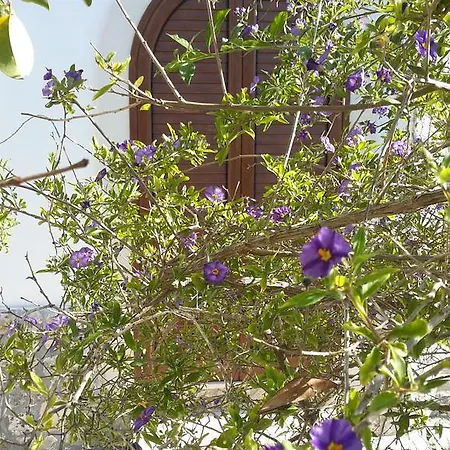 Apartmán San Foca *